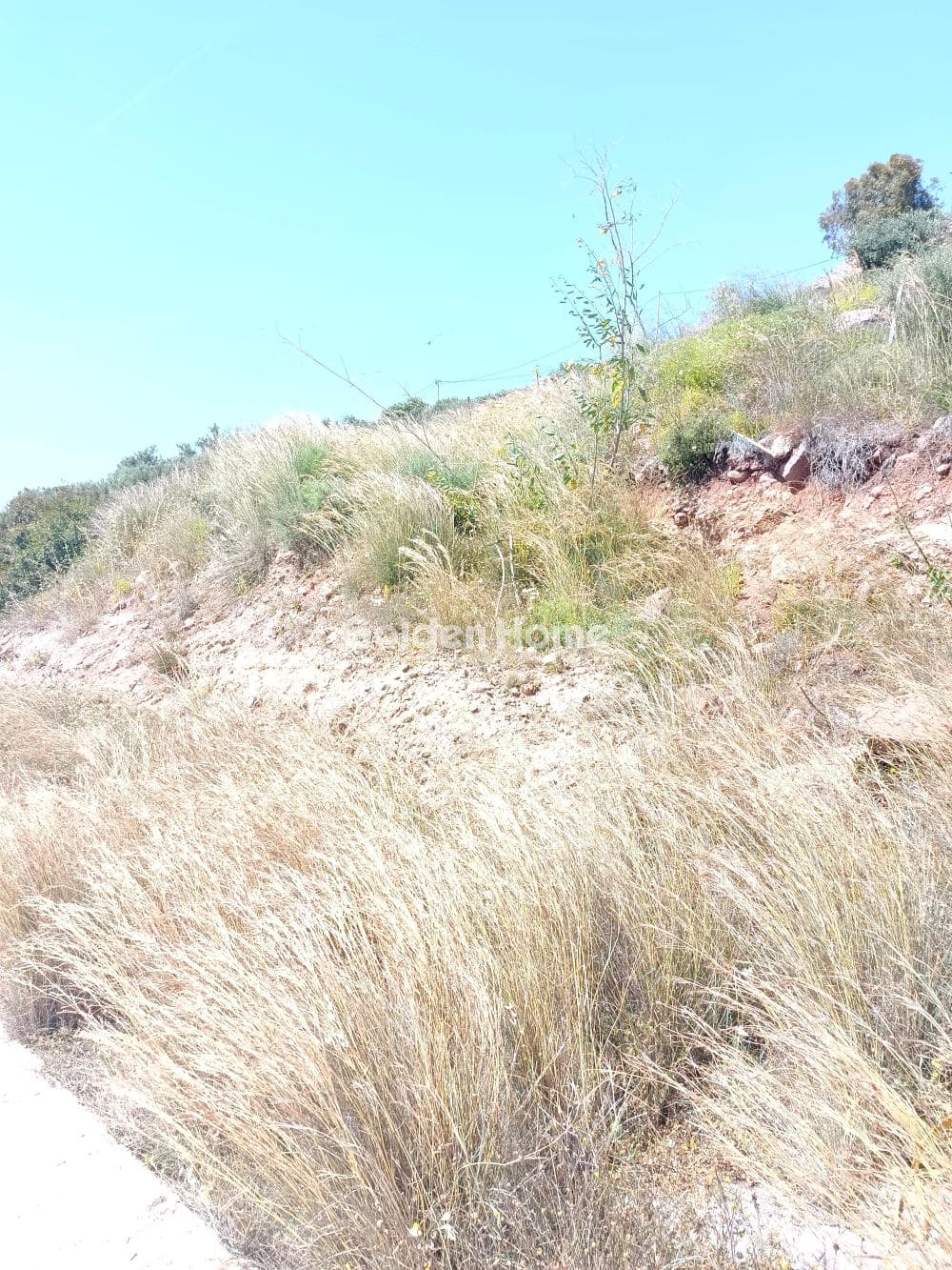 Οικόπεδο στην Σφεντούρι, Αίγινα — Φωτογραφία 6 από 6