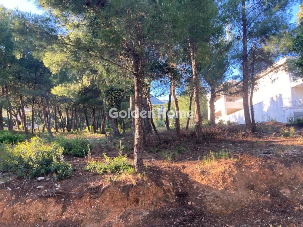 Building Plot in Megala Sxoinia A, Acharnes — Photo 1 of 3