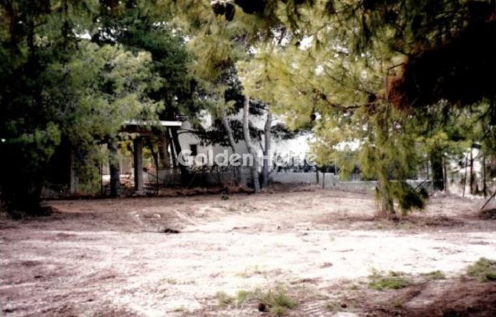 Οικόπεδο στην Θερμά, Αίγινα — Φωτογραφία 6 από 7
