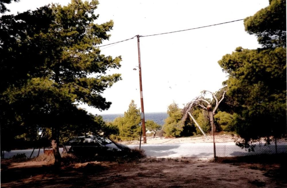 Οικόπεδο στην Θερμά, Αίγινα — Φωτογραφία 7 από 7