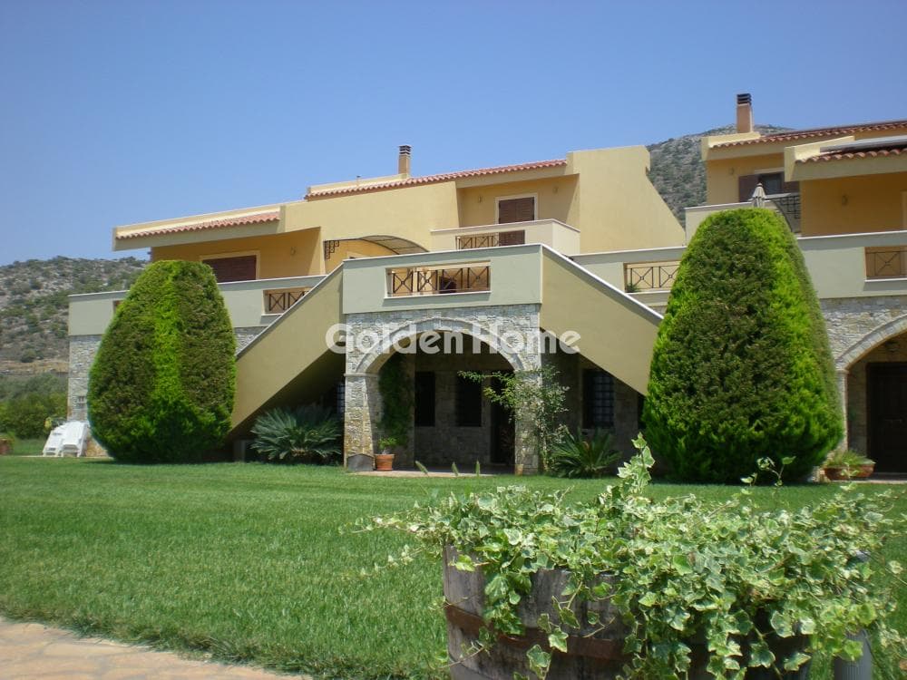 House in Κέντρο, Kalivia Thorikou — Photo 6 of 67