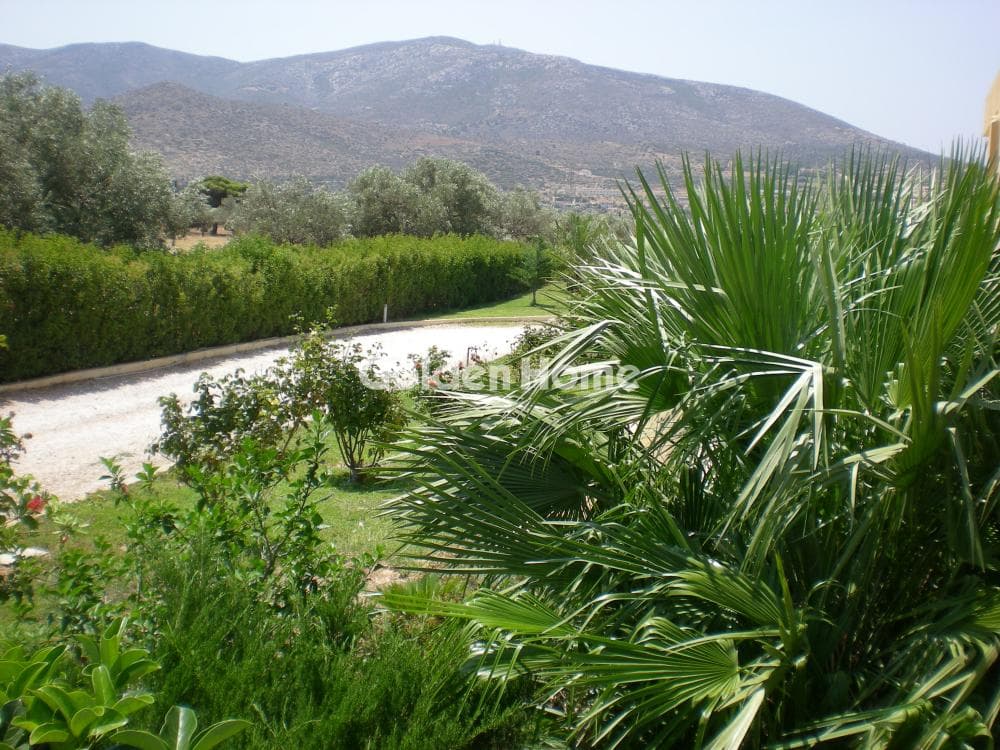 House in Κέντρο, Kalivia Thorikou — Photo 24 of 67