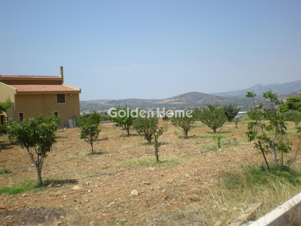 House in Κέντρο, Kalivia Thorikou — Photo 28 of 67