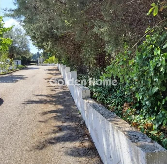 Μονοκατοικία στην Κρυοπηγή, Κασσάνδρα — Φωτογραφία 6 από 7