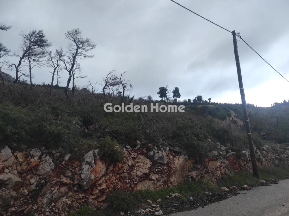 Building Plot in Agia Triada, Afidnes — Photo 5 of 7
