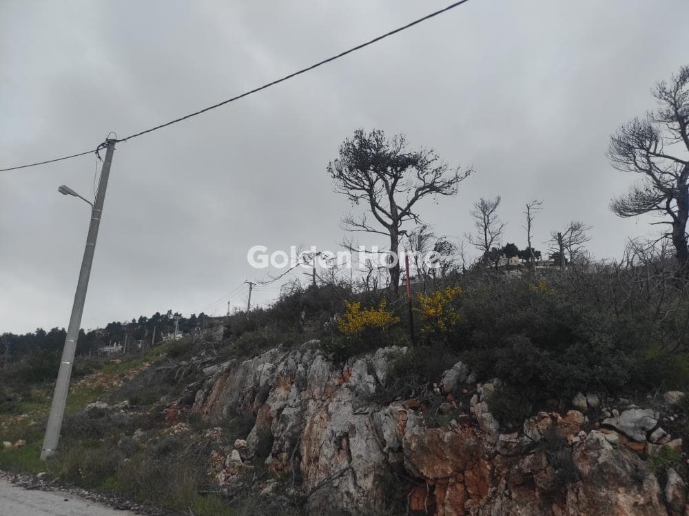 Building Plot in Agia Triada, Afidnes — Photo 6 of 7