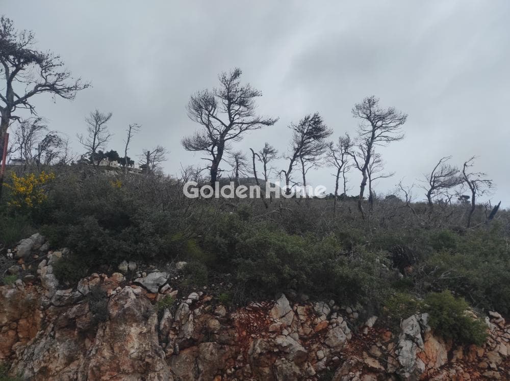 Building Plot in Agia Triada, Afidnes — Photo 2 of 7