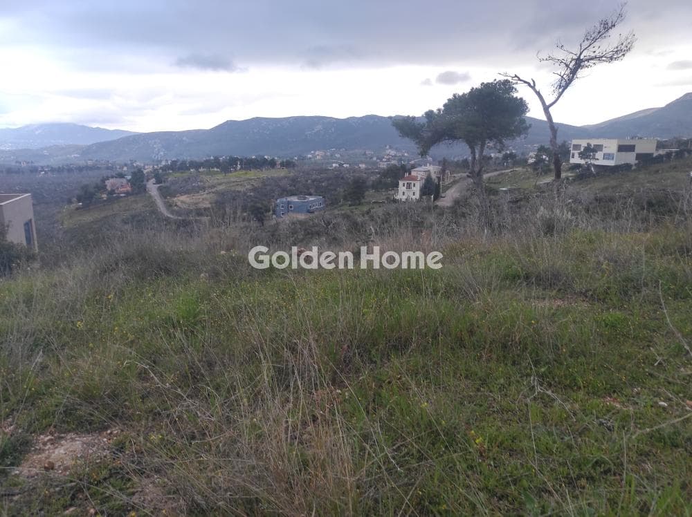 Building Plot in Agia Triada, Afidnes — Photo 3 of 7