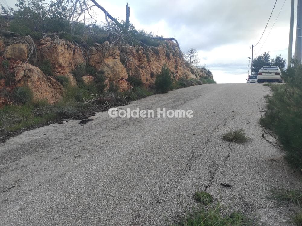 Building Plot in Agia Triada, Afidnes — Photo 1 of 3
