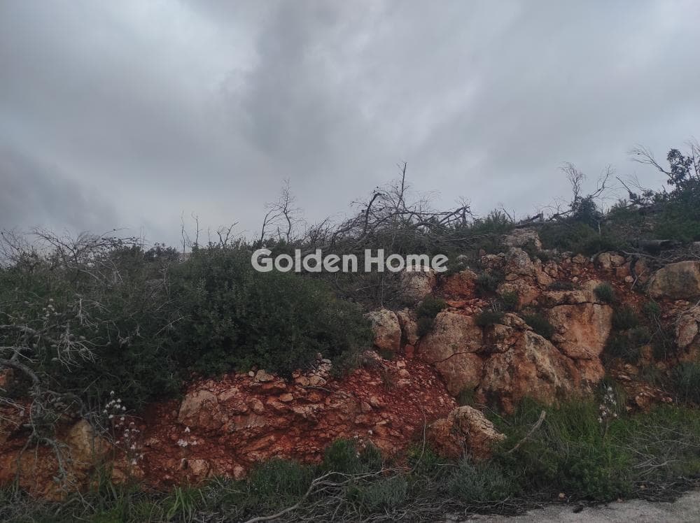 Building Plot in Agia Triada, Afidnes — Photo 2 of 3