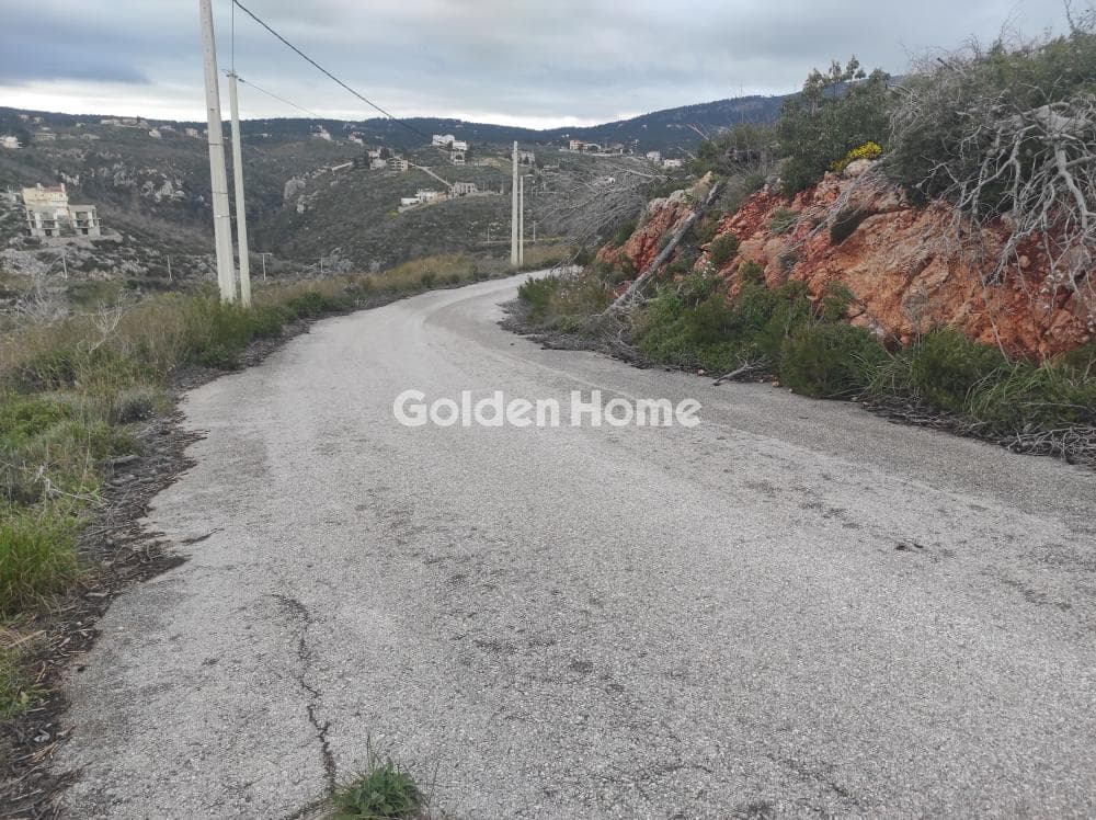 Building Plot in Agia Triada, Afidnes — Photo 3 of 3