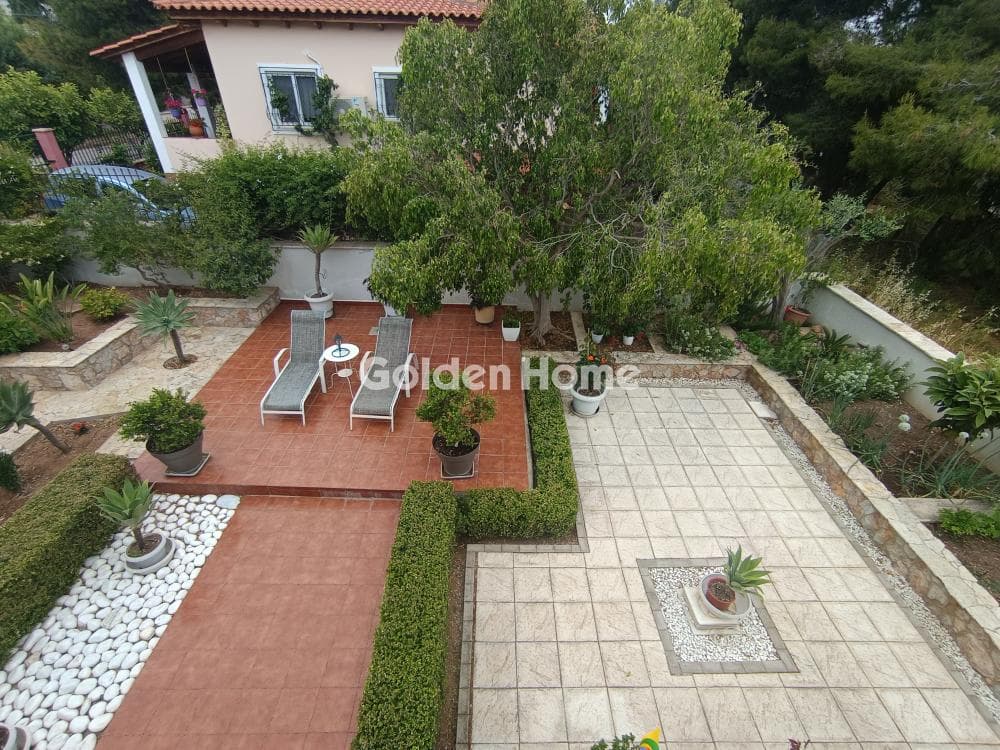 House in Selinia, Salamina — Photo 1 of 36