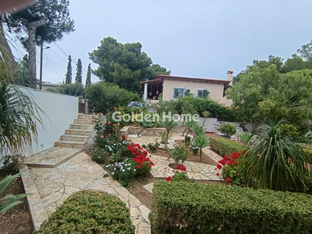 House in Selinia, Salamina — Photo 4 of 36