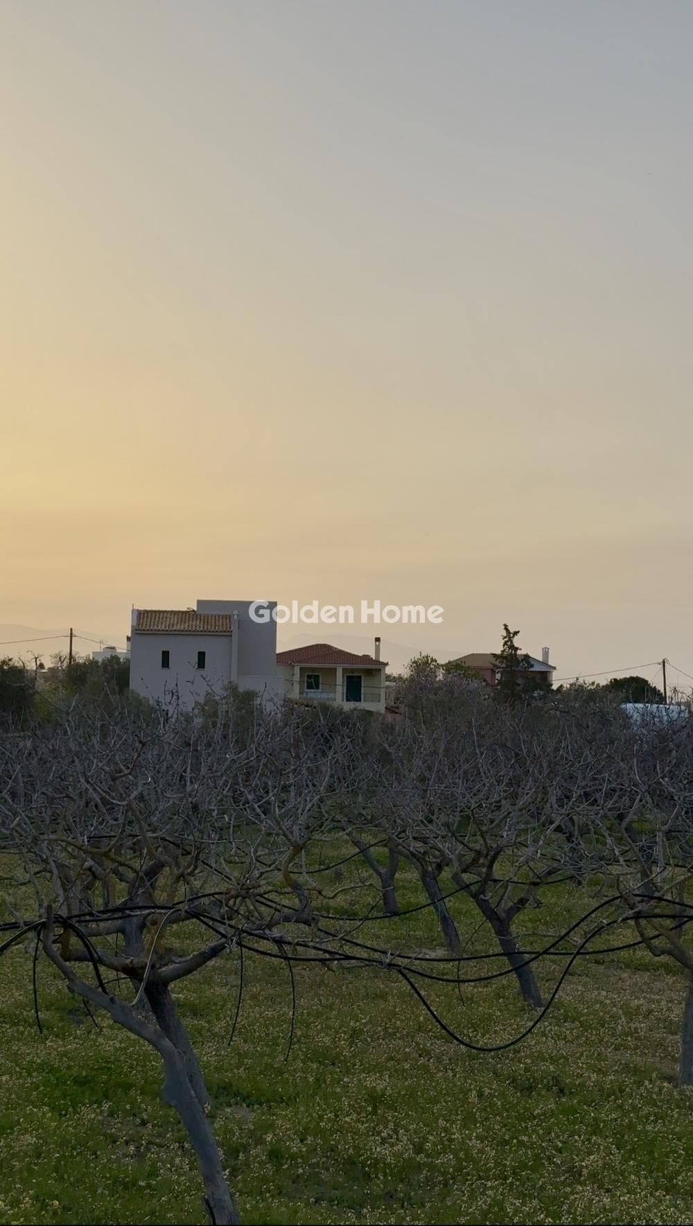 Οικόπεδο στην Κυψέλη, Αίγινα — Φωτογραφία 4 από 5