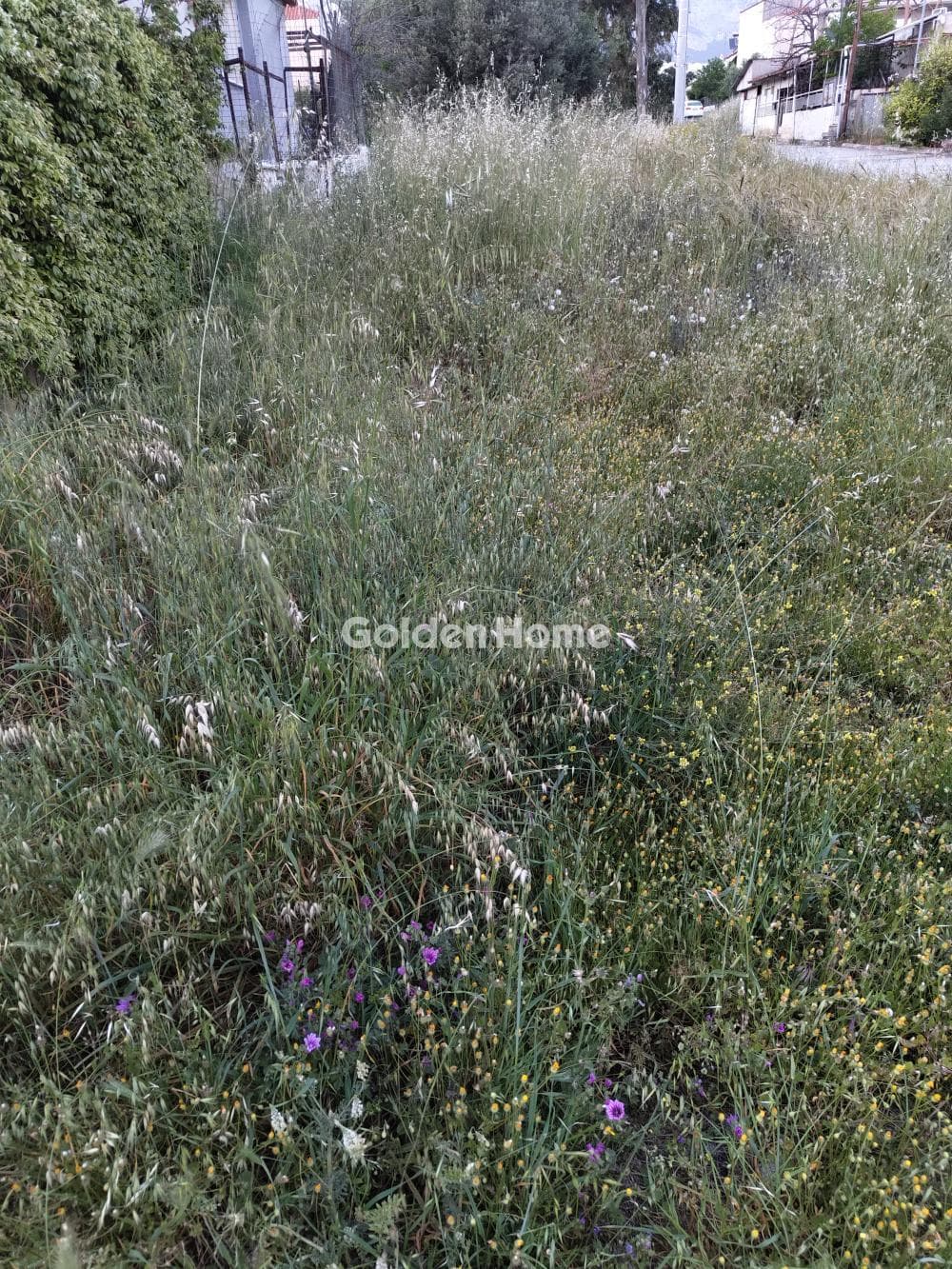 Building Plot in Megala Sxoinia A, Acharnes — Photo 2 of 3
