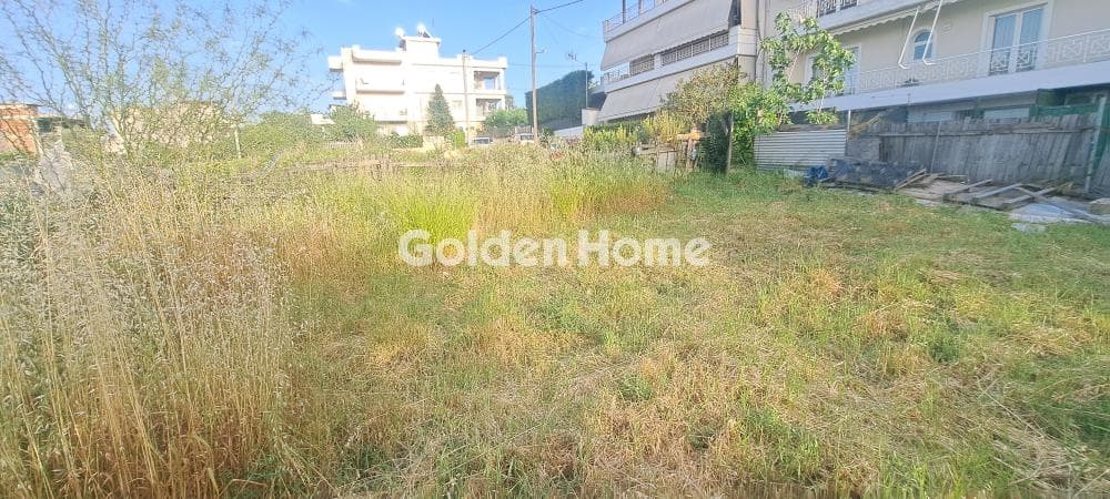 Building Plot in Pirgouthi, Acharnes — Photo 2 of 6