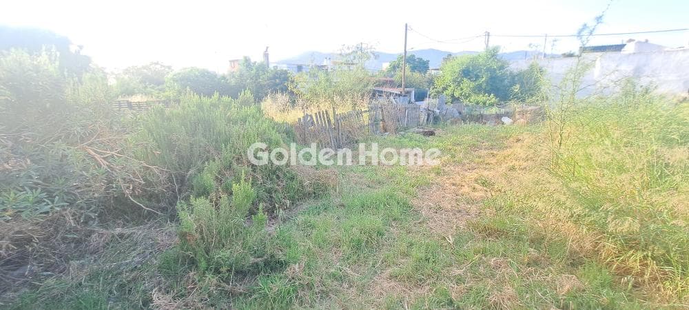 Building Plot in Pirgouthi, Acharnes — Photo 3 of 6