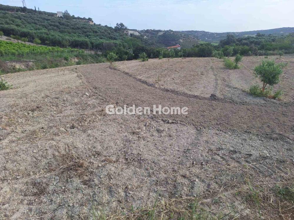 Οικόπεδο στην Βούτες, Τέμενος — Φωτογραφία 7 από 13