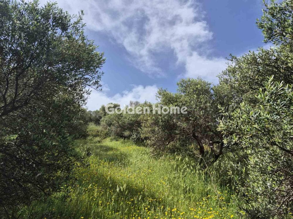 Building Plot in Kato Archanes, Archanes — Photo 2 of 15