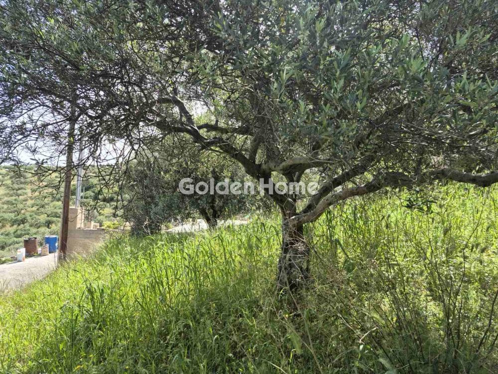 Building Plot in Kato Archanes, Archanes — Photo 4 of 15