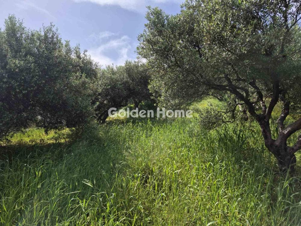 Building Plot in Kato Archanes, Archanes — Photo 8 of 15