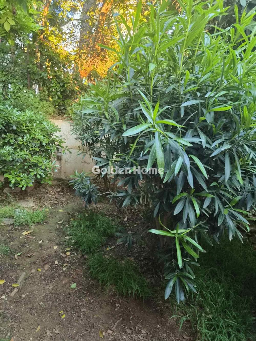 House in Center, Nea Erithraia — Photo 5 of 5