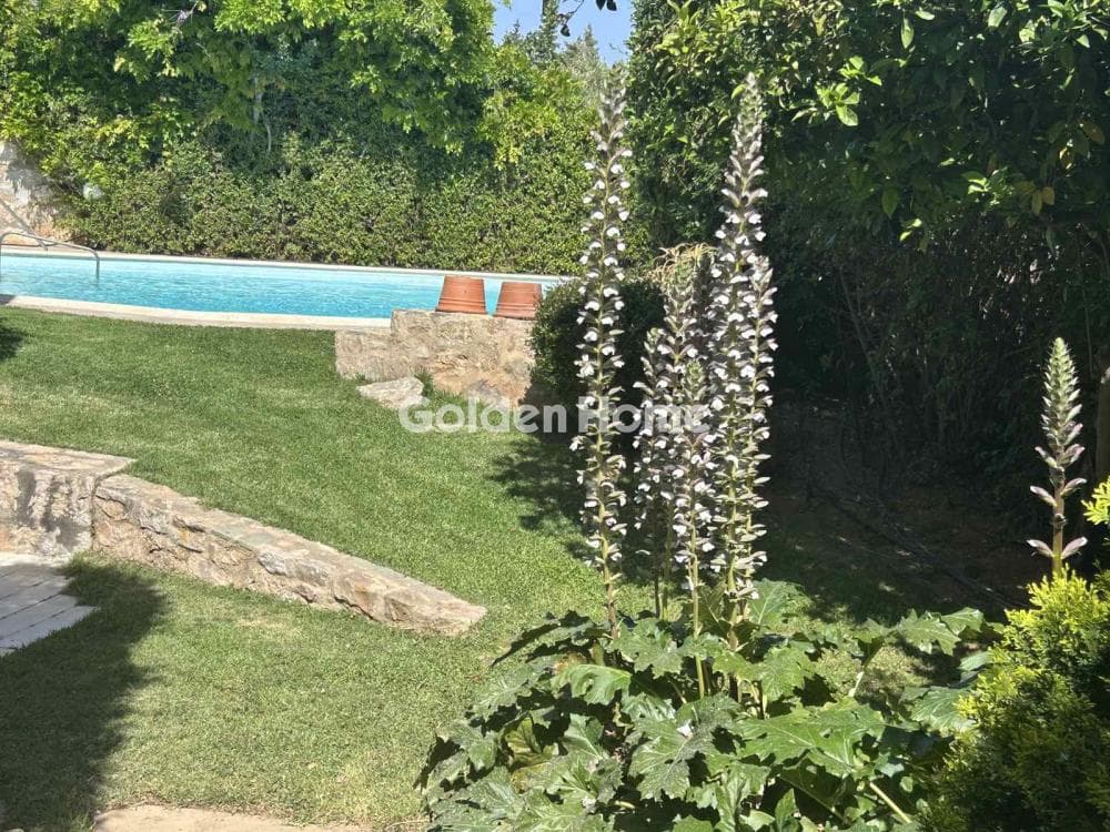 House in Porto Rafti, Vravrona — Photo 4 of 49