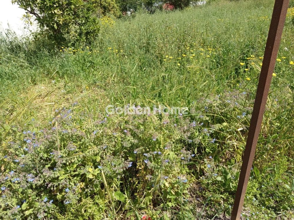 Οικόπεδο στην Κουνάβοι, Αρχάνες — Φωτογραφία 2 από 2