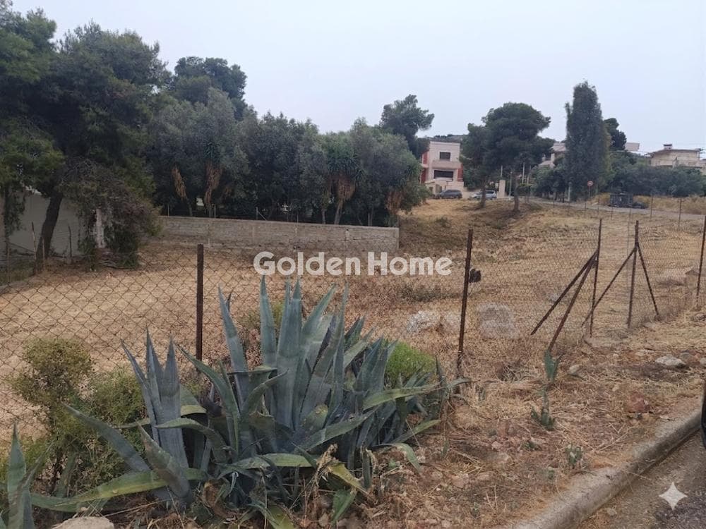 Οικόπεδο στην Σελήνια, Σαλαμίνα — Φωτογραφία 2 από 3