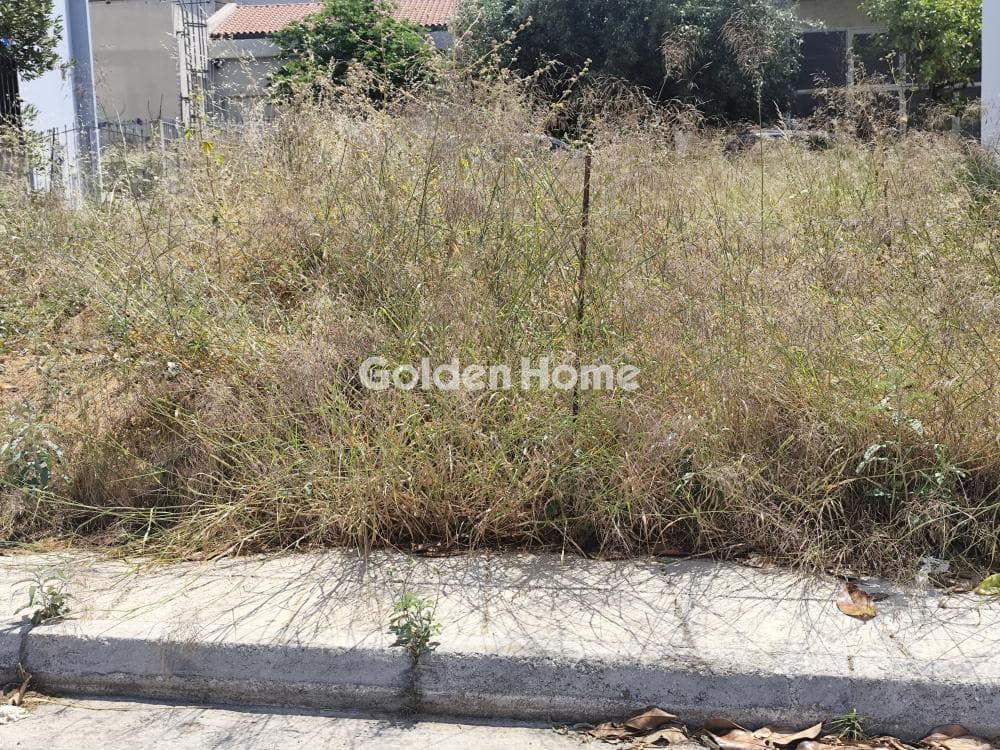 Οικόπεδο στην Ποταμιά, Άγιος Δημήτριος — Φωτογραφία 1 από 4