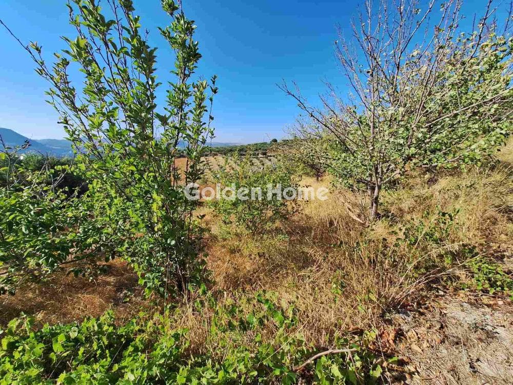 Parcel in Agios Mironas, Tetrachori — Photo 1 of 16
