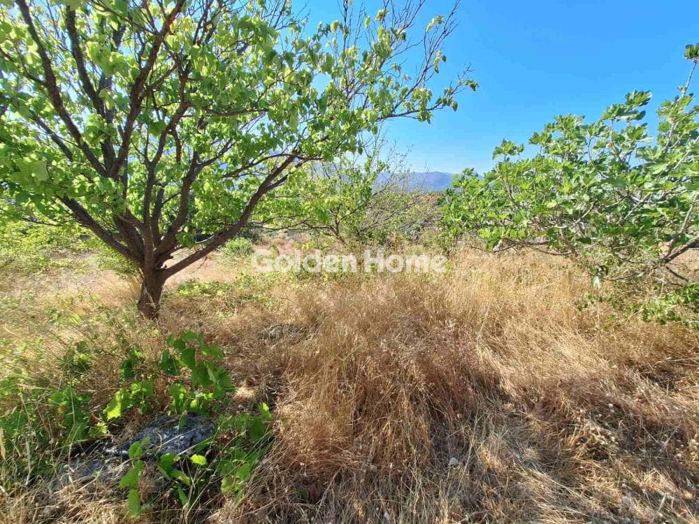 Parcel in Agios Mironas, Tetrachori — Photo 3 of 16