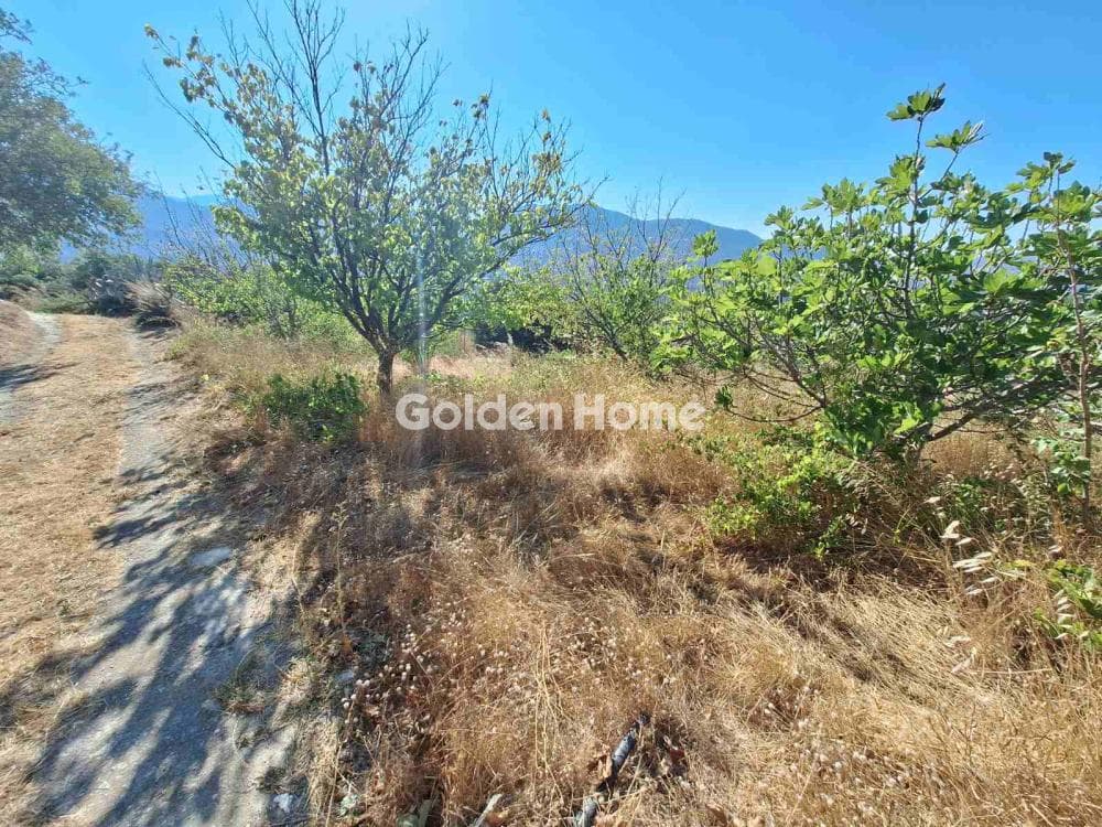 Parcel in Agios Mironas, Tetrachori — Photo 4 of 16