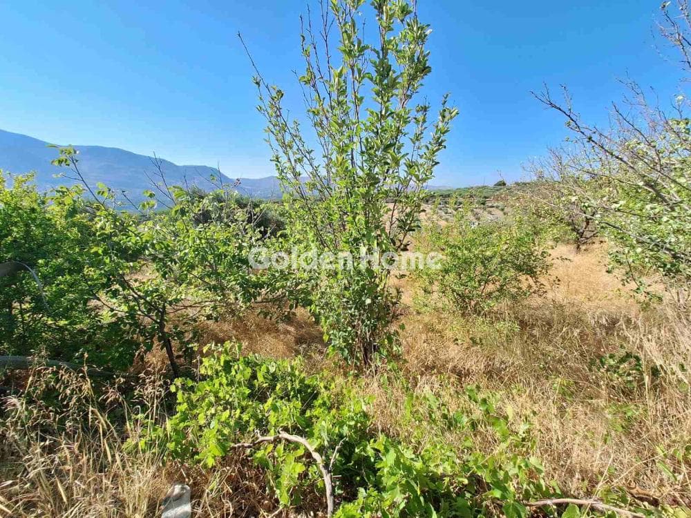 Parcel in Agios Mironas, Tetrachori — Photo 5 of 16