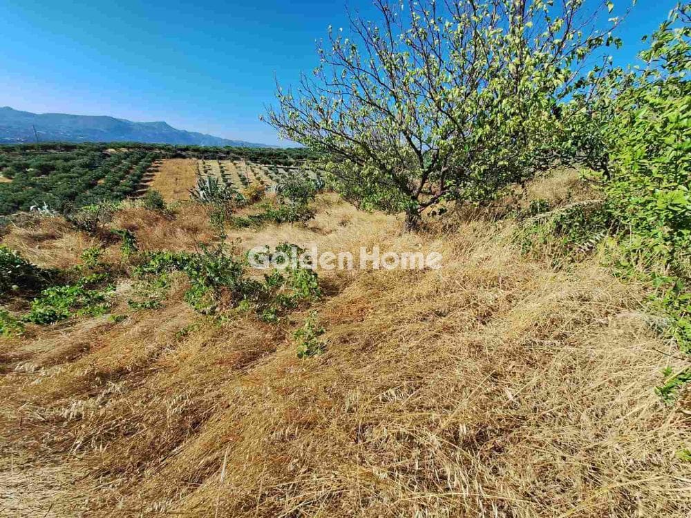 Parcel in Agios Mironas, Tetrachori — Photo 6 of 16