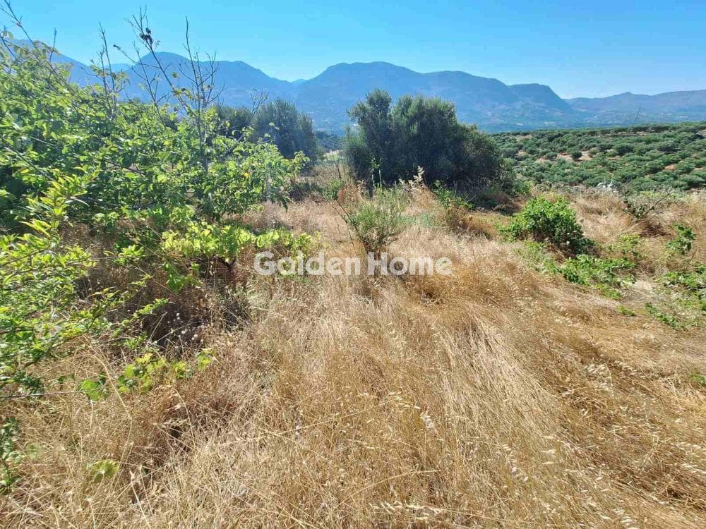 Parcel in Agios Mironas, Tetrachori — Photo 7 of 16