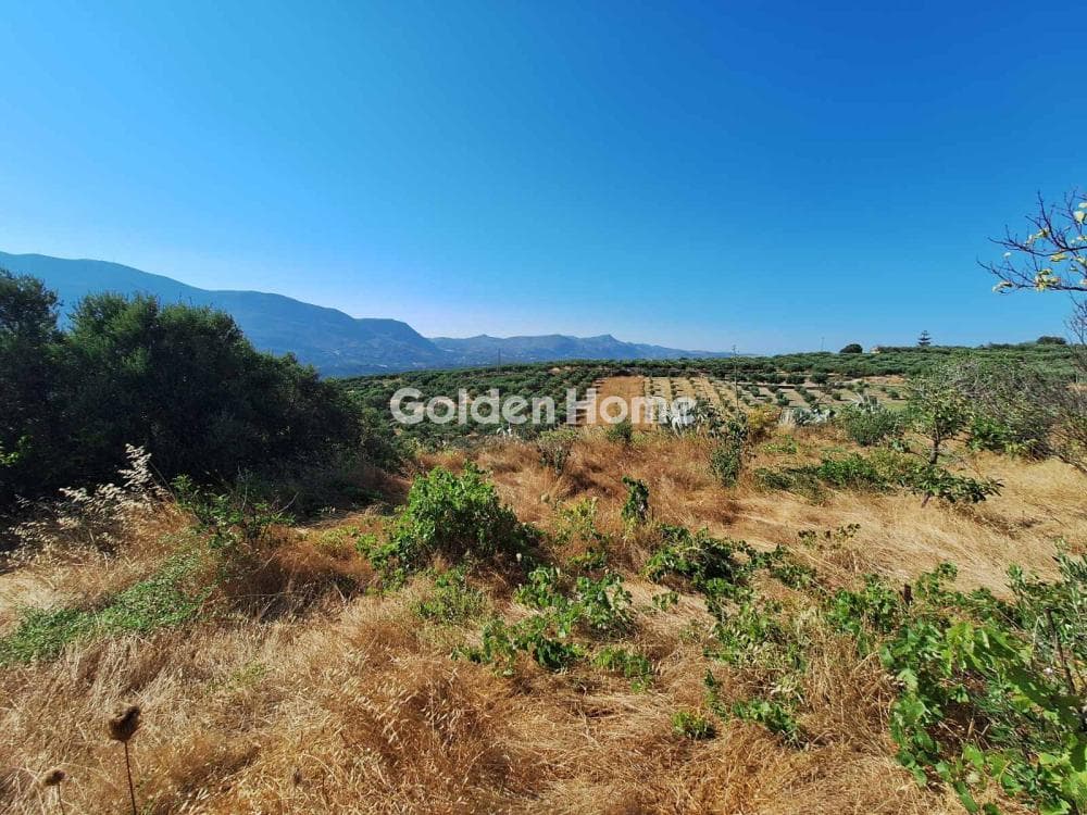 Parcel in Agios Mironas, Tetrachori — Photo 8 of 16