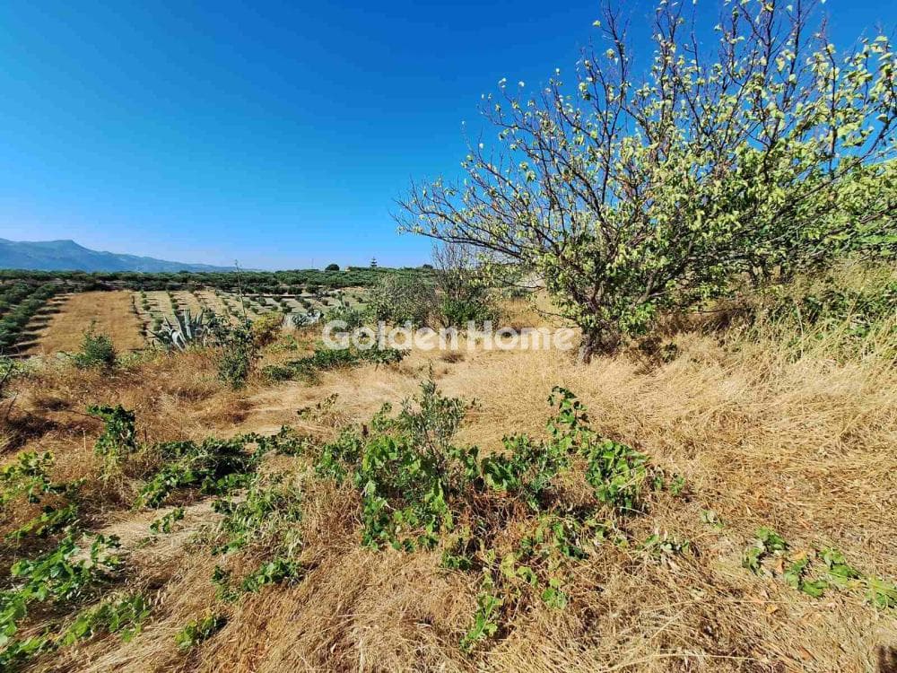 Parcel in Agios Mironas, Tetrachori — Photo 9 of 16