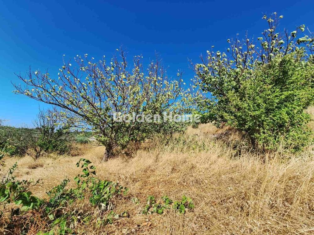 Parcel in Agios Mironas, Tetrachori — Photo 10 of 16