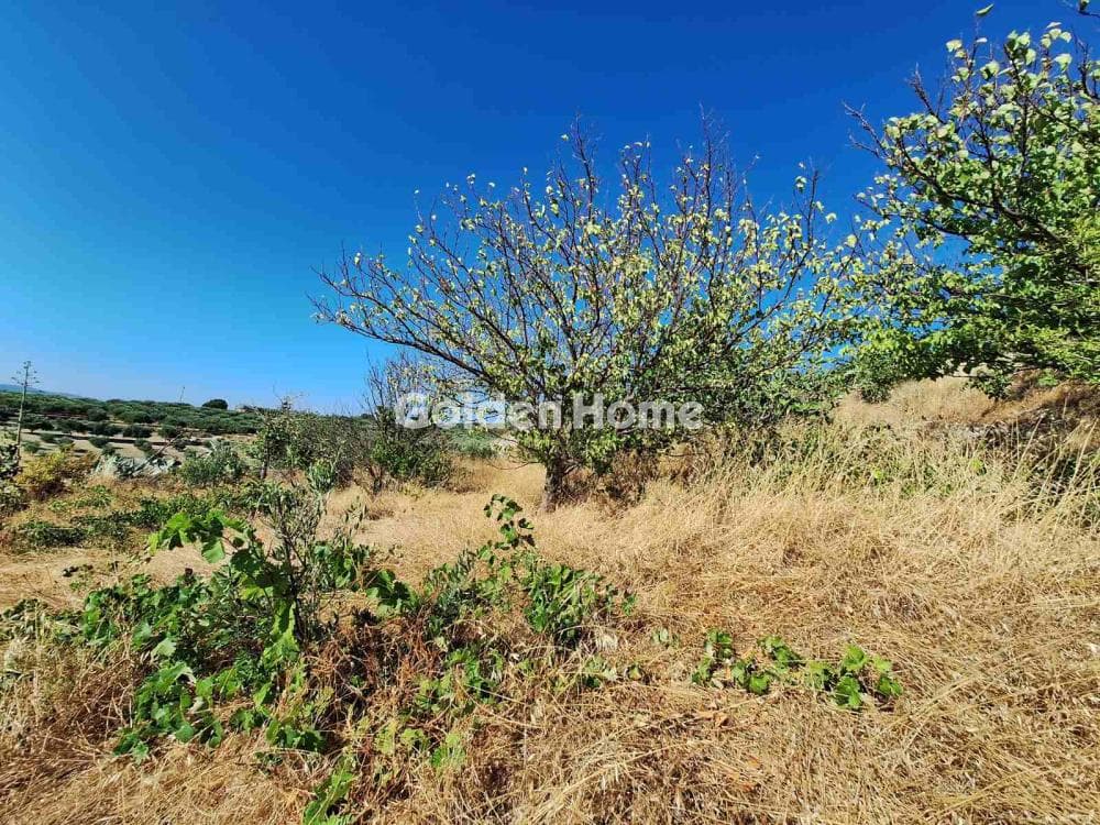 Parcel in Agios Mironas, Tetrachori — Photo 11 of 16
