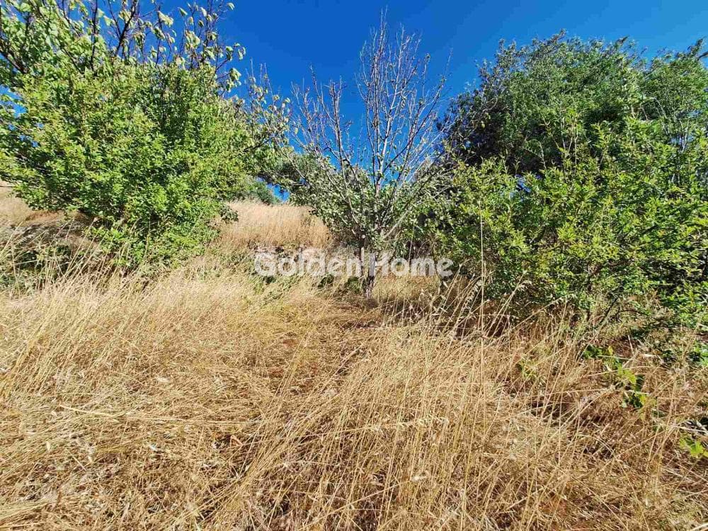 Parcel in Agios Mironas, Tetrachori — Photo 12 of 16