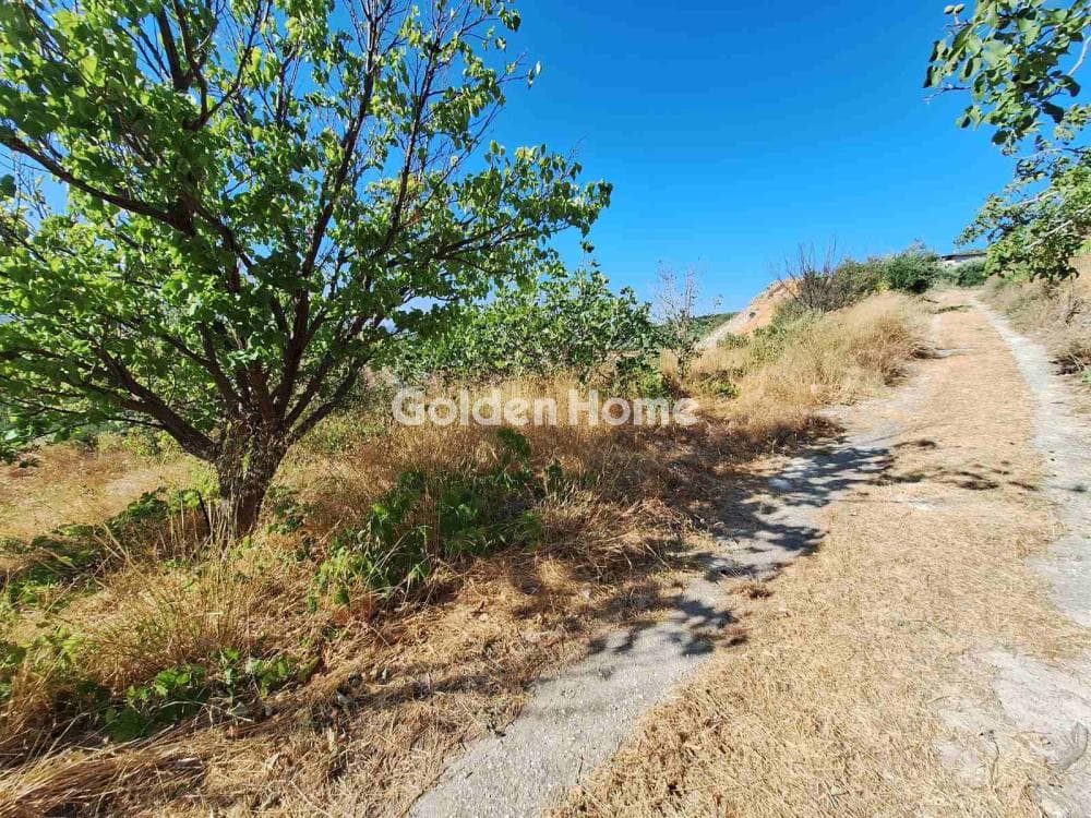Parcel in Agios Mironas, Tetrachori — Photo 13 of 16