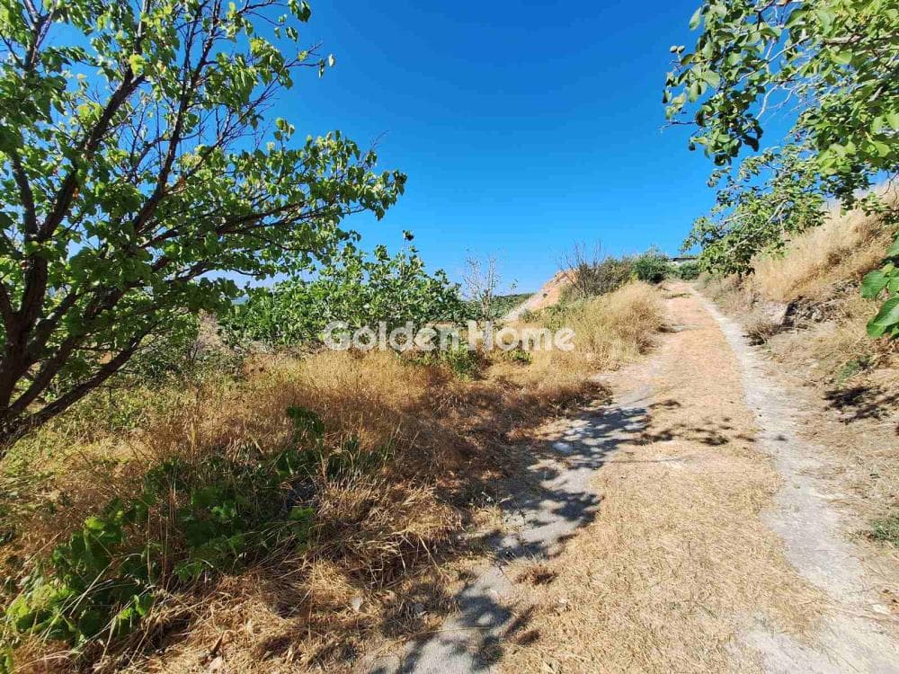 Parcel in Agios Mironas, Tetrachori — Photo 14 of 16
