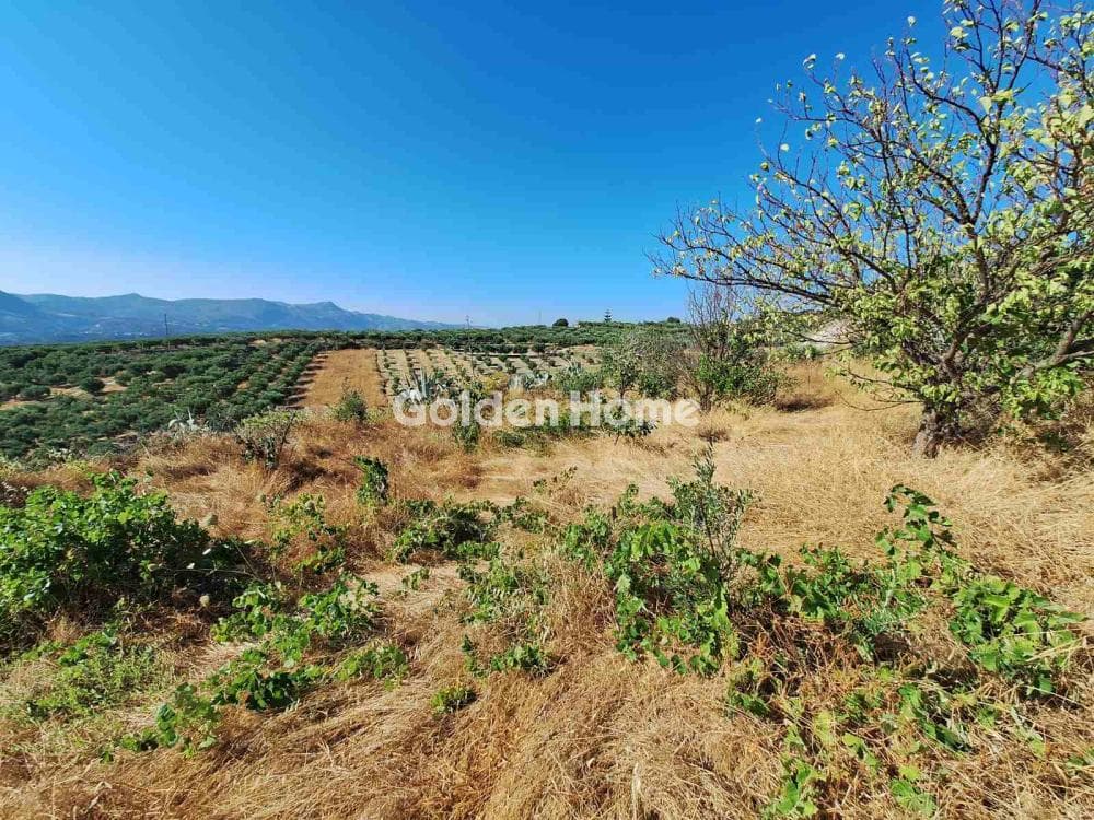 Parcel in Agios Mironas, Tetrachori — Photo 15 of 16
