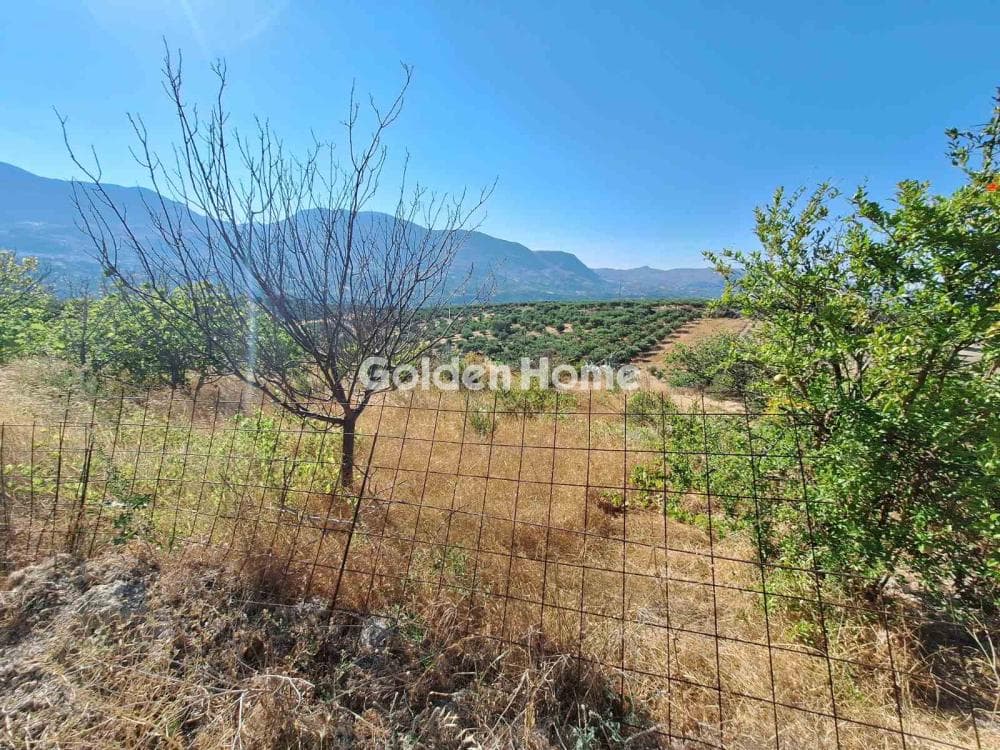 Parcel in Agios Mironas, Tetrachori — Photo 16 of 16