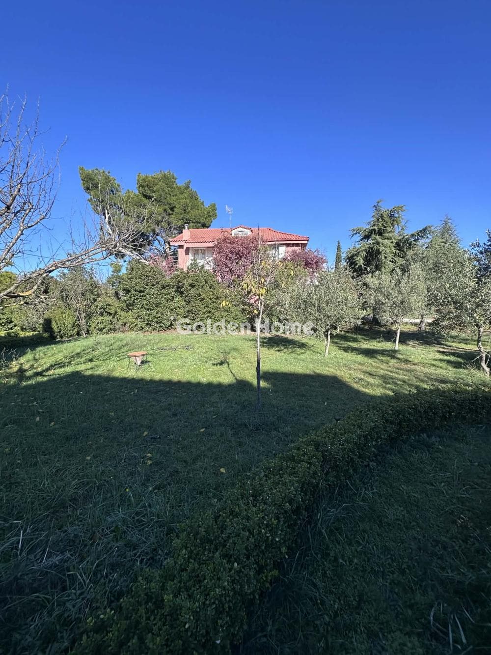 Building Plot in Megala Sxoinia A, Acharnes — Photo 1 of 7