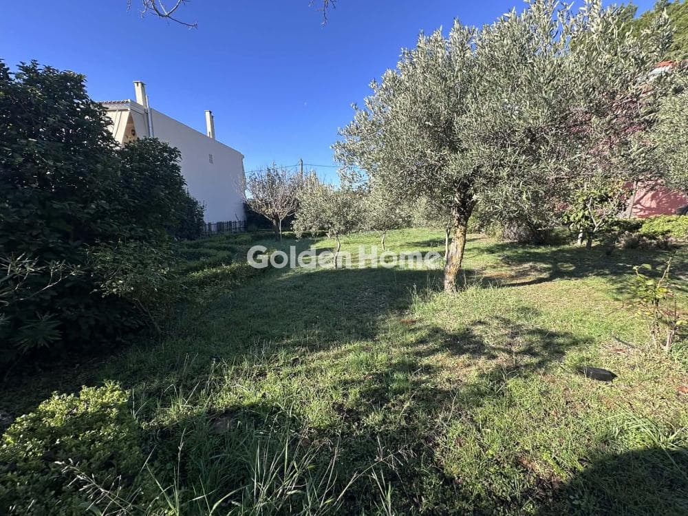 Building Plot in Megala Sxoinia A, Acharnes — Photo 2 of 7