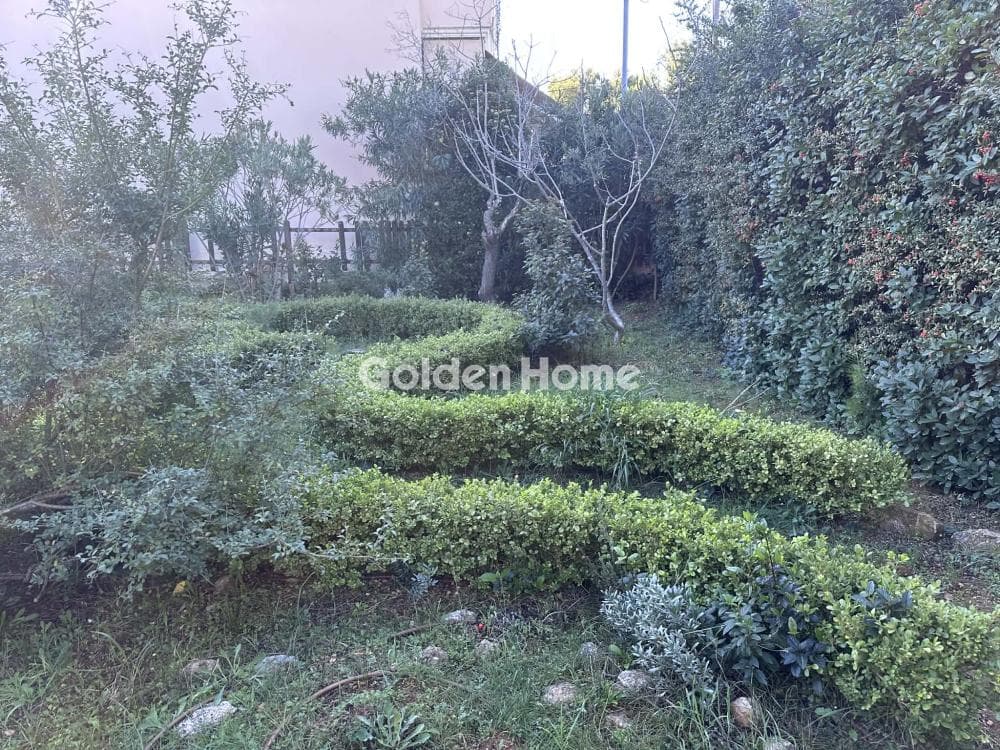 Building Plot in Megala Sxoinia A, Acharnes — Photo 5 of 7