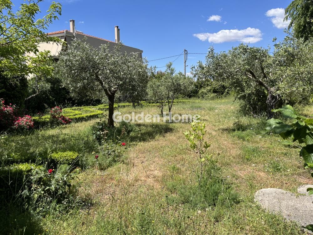 Building Plot in Megala Sxoinia A, Acharnes — Photo 8 of 13