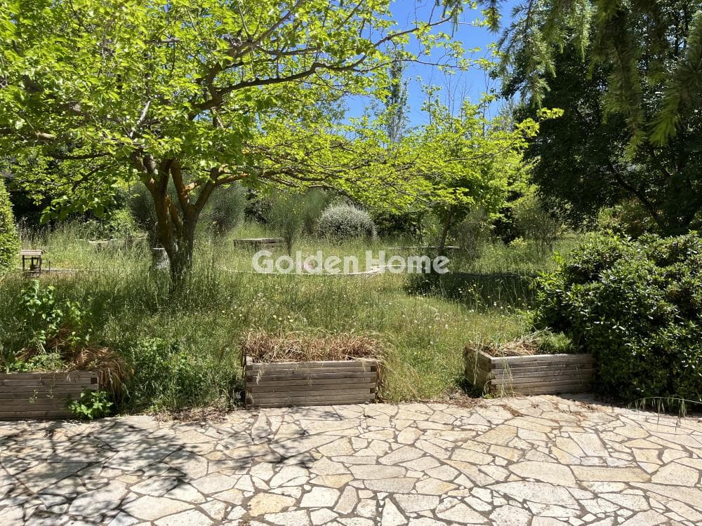 Building Plot in Megala Sxoinia A, Acharnes — Photo 10 of 13